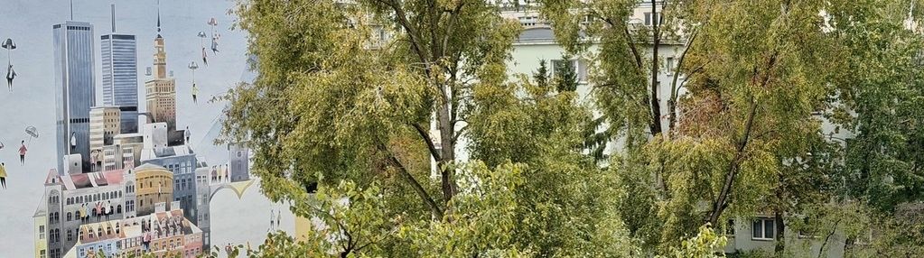 Super studio przy verso tower ul. chmielna