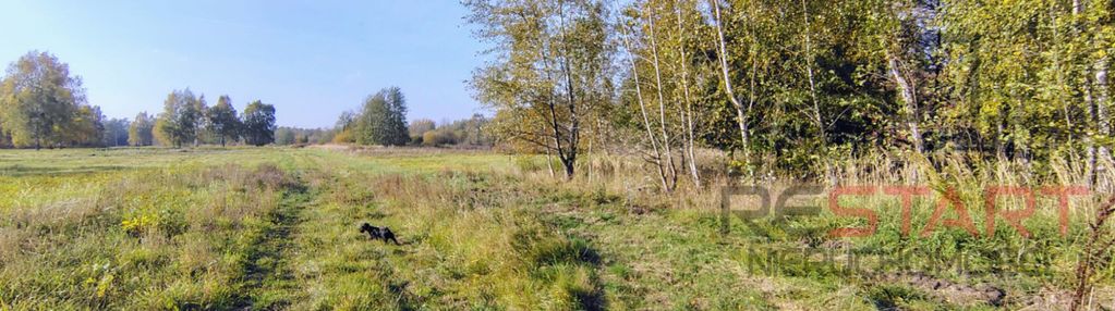 Kozerki 7 800 m² – możliwość podziału na 3 działki