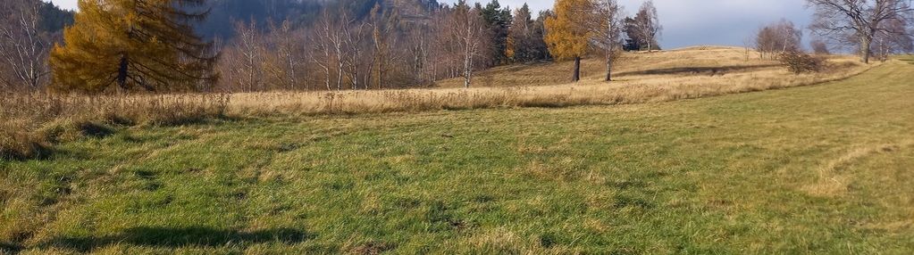 Widokowa działka w jedlinie zdrój