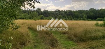 Radziejowice koło pałacu 1200 m2