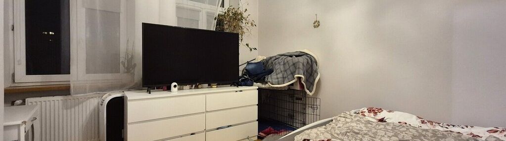 -5min do rynku-pl.grunwald-rozkładowe-dwustronne-!