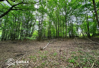 Działka budowlana przy lesie oraz strumyku