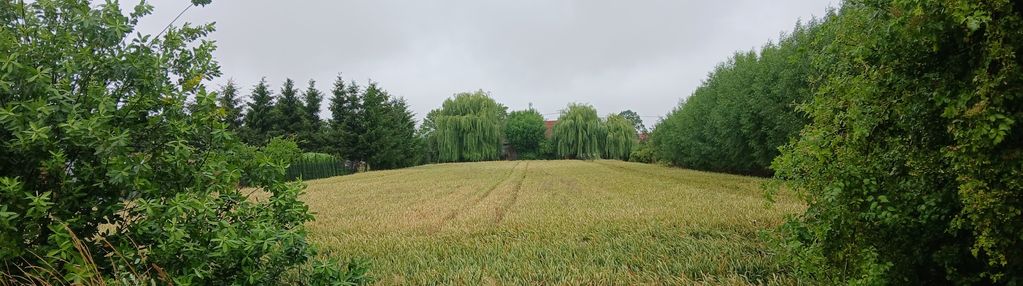 Działka budowlana 1080 m² – ostaszewo | wz | media