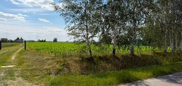 Sieniawa gm. 1,22ha rolna przy drodze asfaltowej