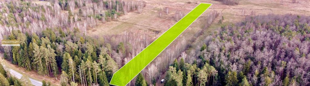 Działka w środku lasu z wz | wolaniny