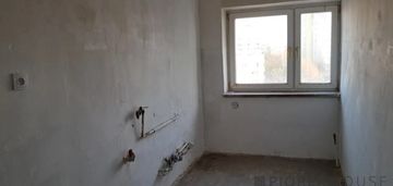 Kawalerka na pradze-południe