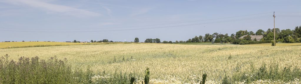 Działka 1752 m² z rozpoczętą budową domu 132 m²