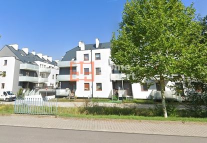 Okolice ul. wilkaskiej