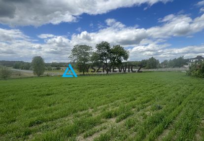 Duża działka z warunkami zabudowy - siwiałka