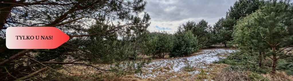 Tylko u nas! działka 3229m² krąplewice przy lesie