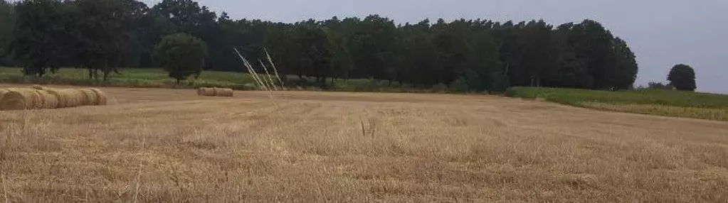 Działka na sprzedaż 3000m2