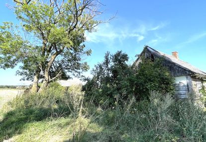 Siedlisko działka 30 arów dryszczów