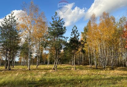 Działka budowlana nr 60/22 józefów gmina pniewy