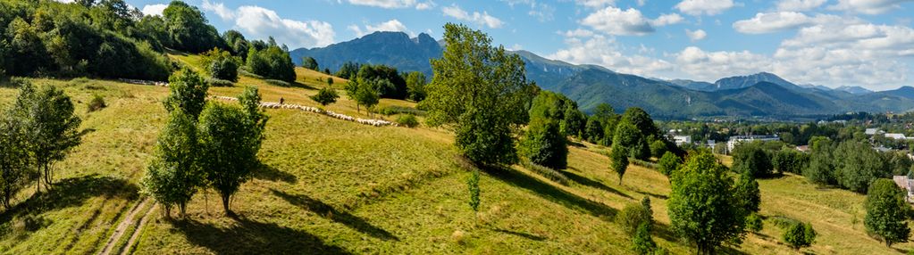 Działka rolna w zakopanem - bachledzki wierch