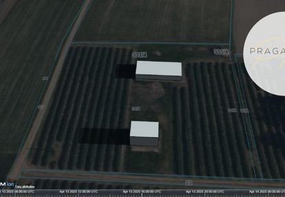 Okazja! siedlisko z potencjałem sielce gm. sanniki