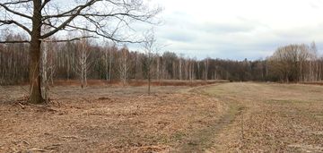 Projekt deweloperski przy lesie-9 działek