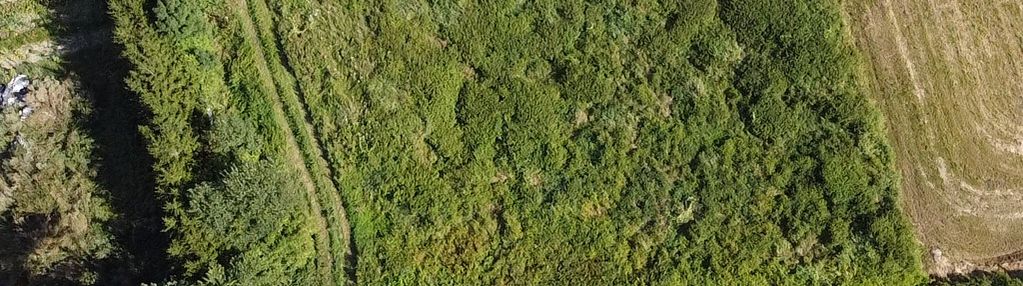 Łosice, ul. myśliwska – łąka 3576 m² na sprzedaż