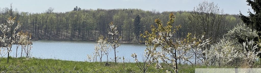 Siedlisko 1,16ha/dostęp do jeziora/linówko k.ińska
