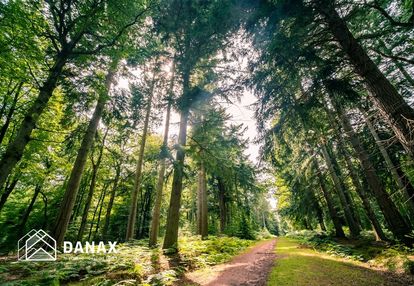 Działki leśno-rolne 28,68 ha | radwanowice |