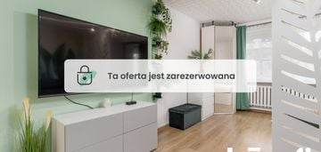 Przytulne mieszkanie na wynajem | wielki kack