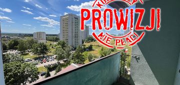 2 pokojowe mieszkanie do wynajęcia
