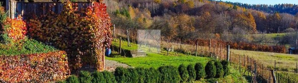 Dom w ssz + winnica | pod wynajem lub prywatnie