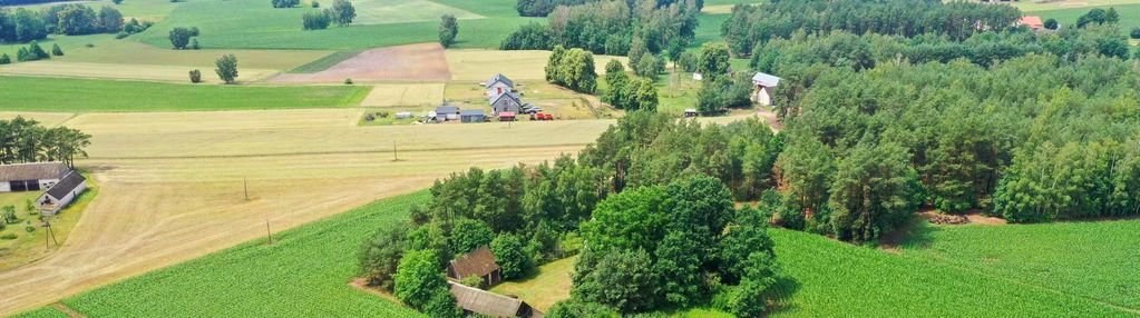Stare siedlisko z duszą na kurpiach