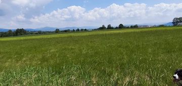 Lipowa | widokowa działka budowlana 1507 m²