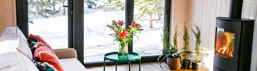 Domek całoroczny letniskowy jeziora, las