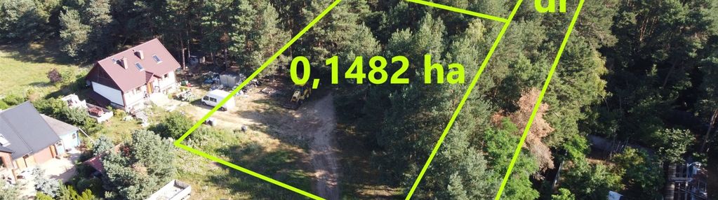 Działka ze ścianą lasu