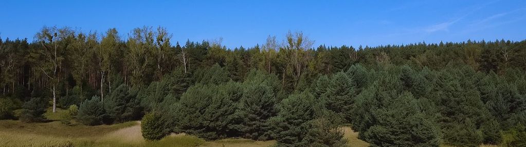 Działki budowlane |jelcz laskowice |wykonane media
