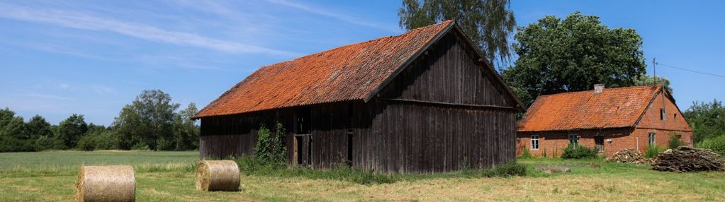 Malownicze siedlisko 13 ha przy lesie i łąkach