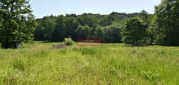 Na sprzedaż duża działka  komercyjna pod lasem !!!