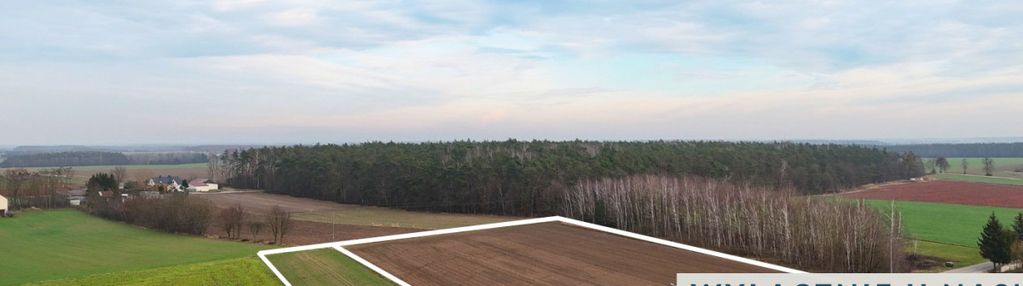 Działki inwestycyjna / 1,1 ha  / falbogi borowe