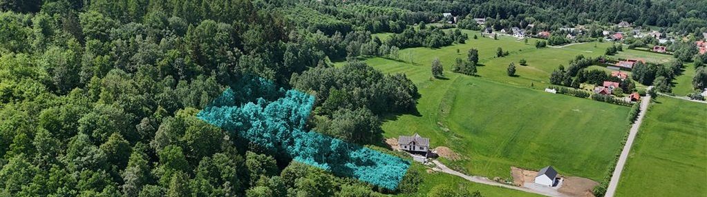 Duża, widokowa działka z lasem w miłkowie
