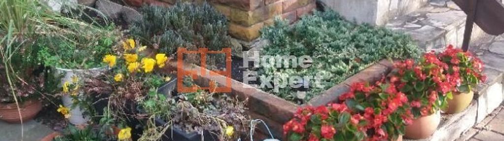 Dom na muchoborze małym