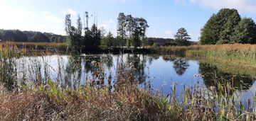 Urokliwe siedlisko - działki od 3000m2 do 25,6 ha