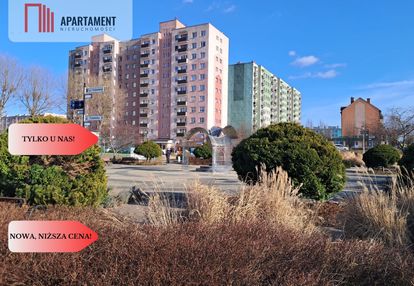 Kawalerka z aneksem sypialnym tczew-suchostrzygi