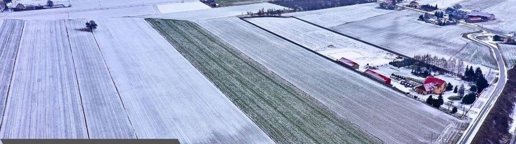 Na sprzedaż – działki rolne w gołaszewie