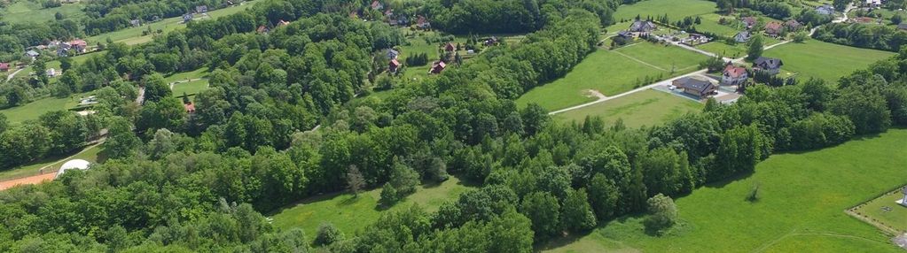 Działka budowlana z pięknymi drzewami