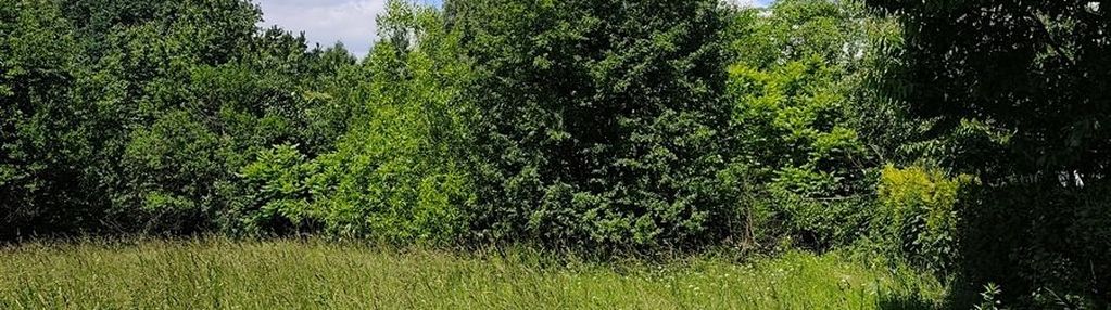 Widokowa, pod  rozłożysty dom oparta o las