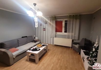 39,36m2, 1 duży pokój, blisko parku łokietka!