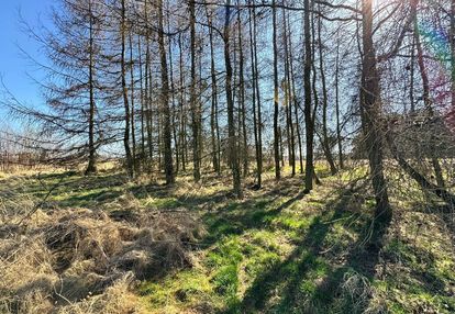 Działka budowlana 5436 m² łuków śląski