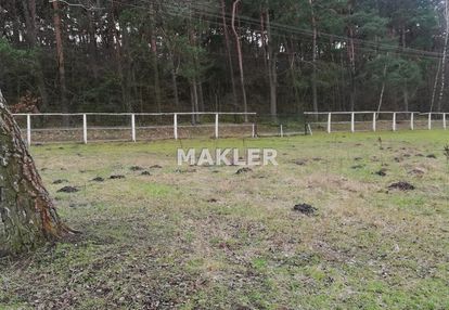 Działka pod lasem w tarkowie dolnym