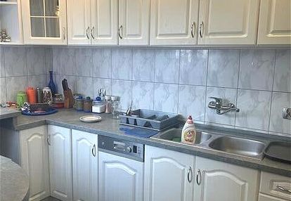 Na sprzedaż dom w saczynie z zalesioną działką