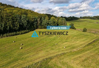 Kompleks 6 działek przy lesie trzepowo
