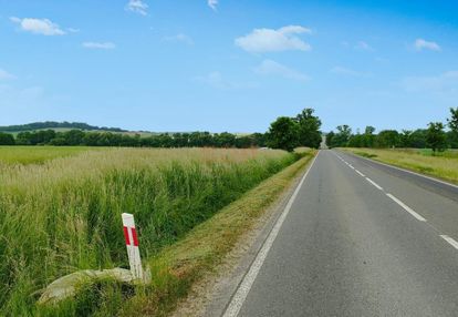 Zawonia, 21.620 m2, przemysłowa, trasa 340