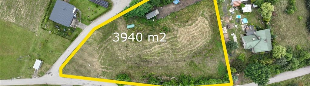 Duża działka sumina - spore możliwości