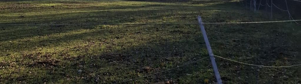 Działka rolna w pięknej okolicy!