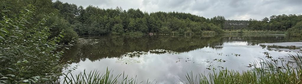 Wyjątkowa nieruchomość w sercu puszczy noteckiej